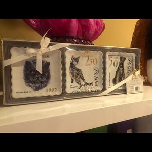 Little set of dishes/catch all